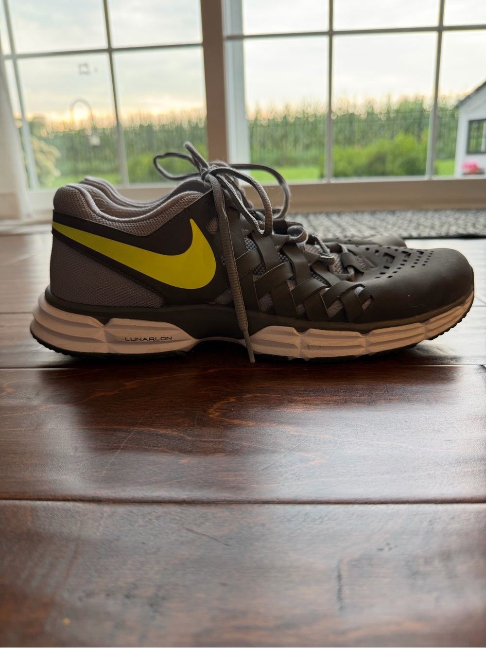 Nike Men’s Gray Lunar Fingertrap TR Sneakers